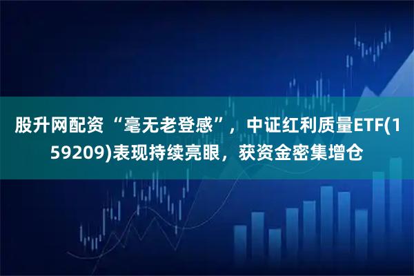 股升网配资 “毫无老登感”，中证红利质量ETF(159209)表现持续亮眼，获资金密集增仓