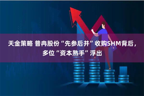 天金策略 普冉股份“先参后并”收购SHM背后，多位“资本熟手”浮出