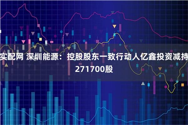 实配网 深圳能源：控股股东一致行动人亿鑫投资减持271700股
